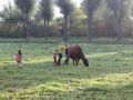 2013-10-04_Werelddierendag_op_de_boerderij_014