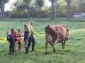 2013-10-04_Werelddierendag_op_de_boerderij_015