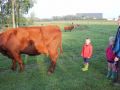 2013-10-04_Werelddierendag_op_de_boerderij_016