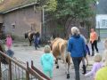 2013-10-04_Werelddierendag_op_de_boerderij_025