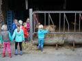 2013-10-04_Werelddierendag_op_de_boerderij_026