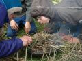 2016-06-04_Bushkraft_041